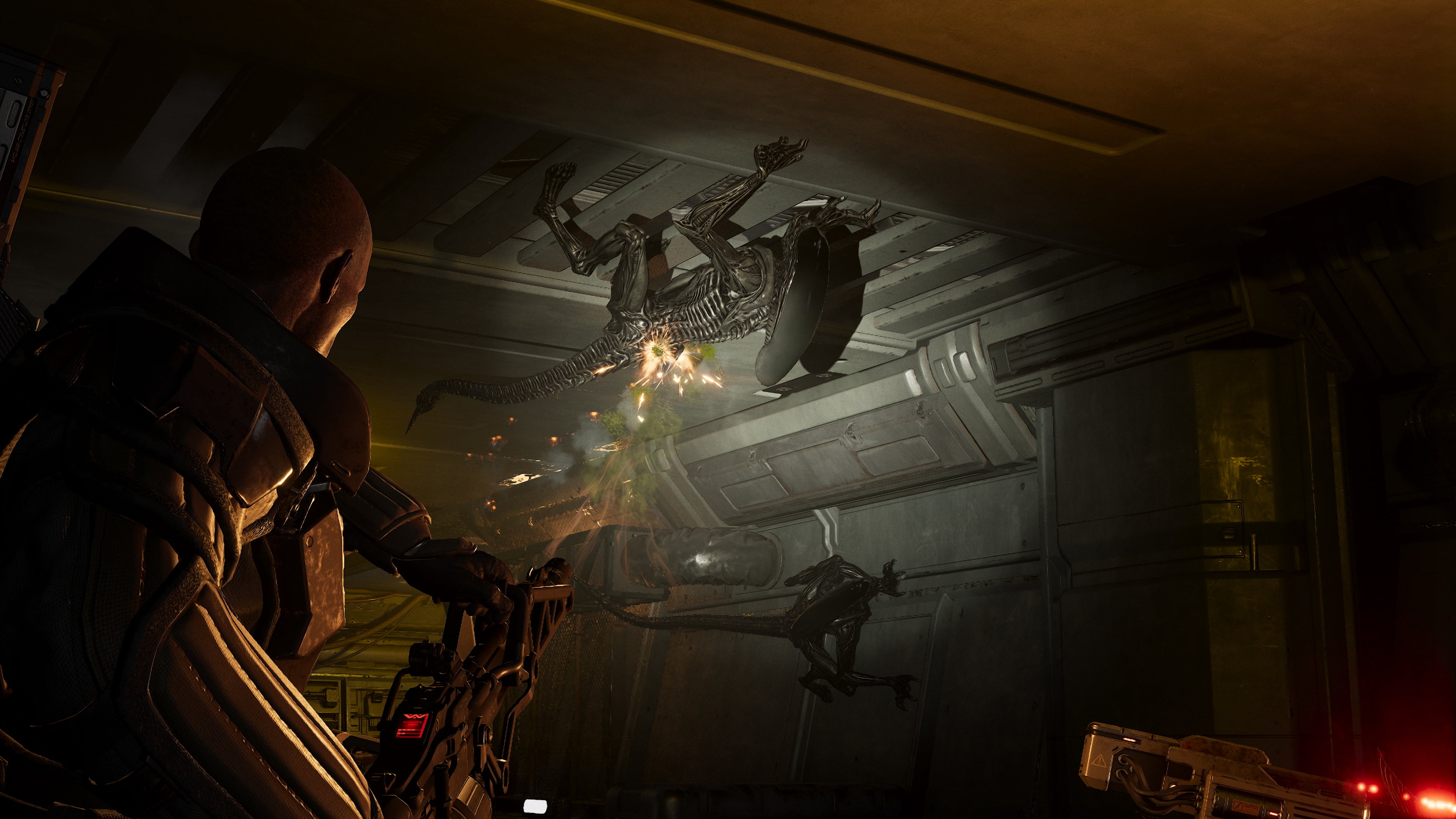 Aliens: Fireteam Elite 2 - Il Ritorno degli Xenomorfi: Data di Uscita e Novità