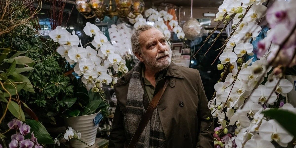 51 Anni Per Ritrovare L'Amore: Il Film Romantico Che Ha Commosso Il Cinema Nel 2024